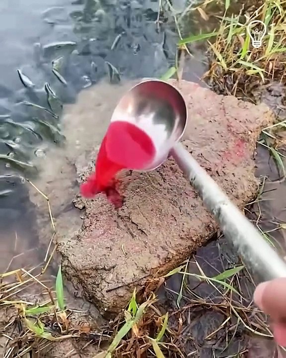 Unique Amazing Tools #amazingtools #uniquetools