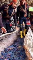 The traditional process of making wine