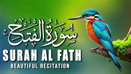 Surah Al-Fath Full (The Victory) سورة الفتح | The Most Beautiful Recitation | Tilawat E Quran | AL Quran