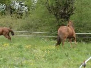 talia et diego se defoule