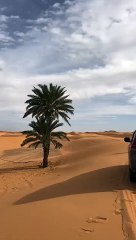 الصحراء المغربية