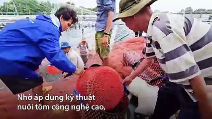Nuôi tôm công nghệ cao, lão nông lãi hơn 30 tỷ đồng mỗi năm