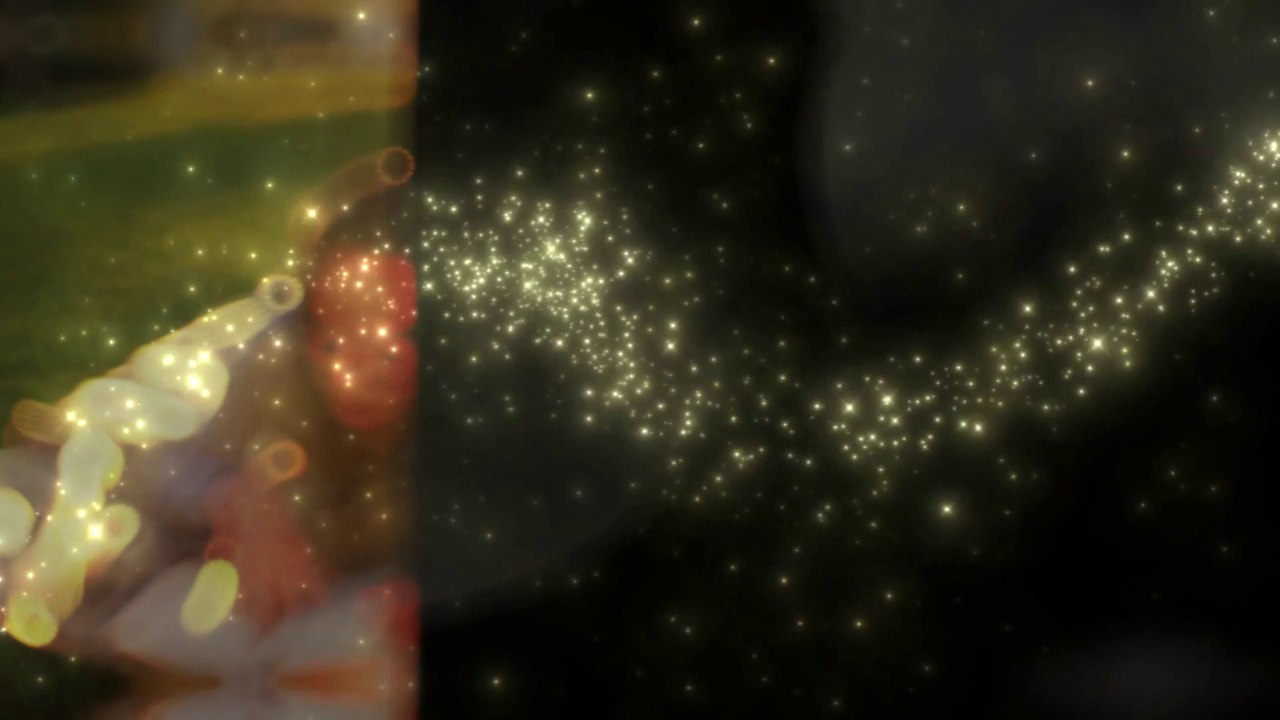 Top 10 Most Viewed Novels of All Time | Must-Read Book Summaries