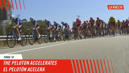 The peloton accelerates  - Stage 10 - La Vuelta 2024