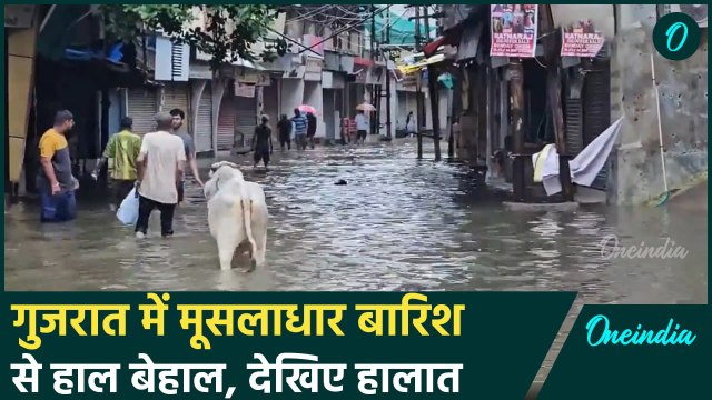 Gujarat Heavy Rain: गुजरात में तेज बारिश से मचा हाहाकार, देखिए Video | वनइंडिया हिंदी
