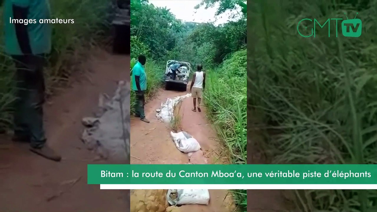 [#Reportage] Bitam : la route du Canton Mboa’a, une véritable piste d’éléphants