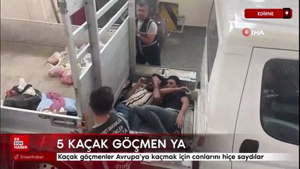Edirne'de 5 kaçak göçmen yakalandı
