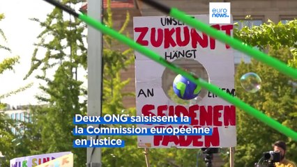 Des militants écologistes veulent forcer la révision des objectifs climatiques "inadéquats" de l'UE