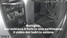 Bologna, bar subisce 4 furti in una settimana: il video dei ladri in azione