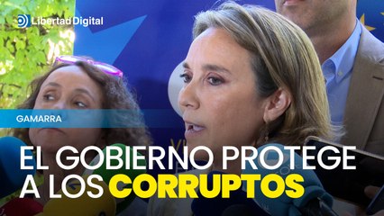 Gamarra asegura que el Gobierno de España protege a los corruptos