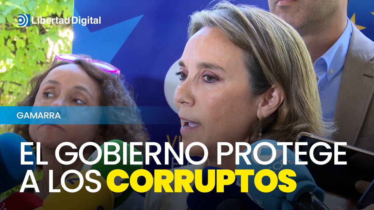 Gamarra asegura que el Gobierno de España protege a los corruptos