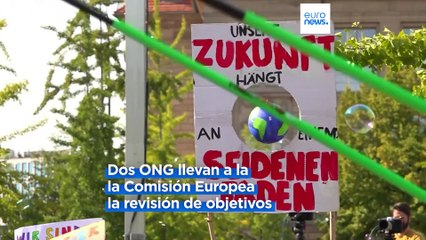 Los ecologistas buscan la revisión de los "insuficientes" objetivos climáticos de la UE
