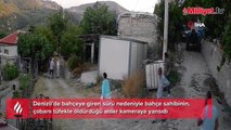 Bahçeye giren koyunlar nedeniyle işlenen cinayetin görüntüleri dehşete düşürdü