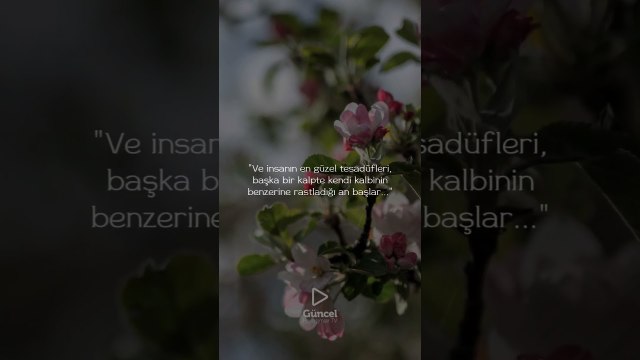 Ve insanın en güzel tesadüfleri, başka bir kalpte kendi kalbinin benzerine rastladığı an başlar...