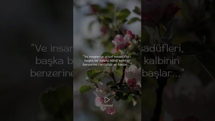 "Ve insanın en güzel tesadüfleri, başka bir kalpte kendi kalbinin benzerine rastladığı an başlar..."