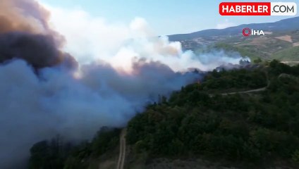 İznik'te çıkan orman yangınına 6 uçak ve 3 helikopter müdahale ediyor