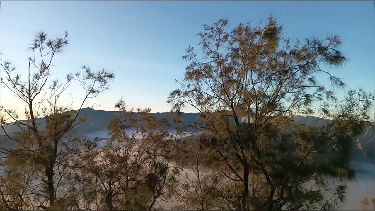 Perjalanan ke Bromo : Erupsi Semeru Hingga Savana