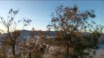 Perjalanan ke Bromo : Erupsi Semeru Hingga Savana