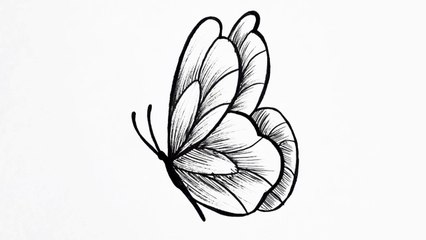 How to draw a butterfly easy step by step __ Butterfly drawing