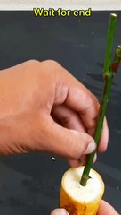 How to Make Islamic Short Videos Go Viral 🌙