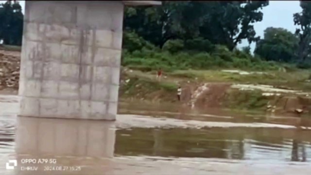 गायों को नदी की बाढ़ में धकेला, हैरान कर देने वाला वीडियो