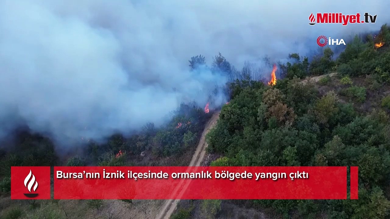 İznik'te orman yangını! 6 uçak ve 3 helikopter yangına müdahale ediyor