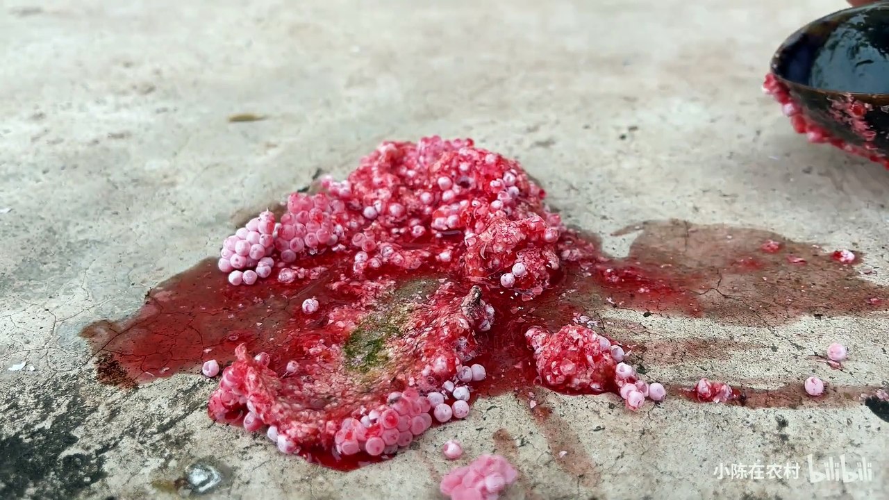 When the Fushou snail egg meets a 1300-degree flamethrower, it burns like a firecracker?