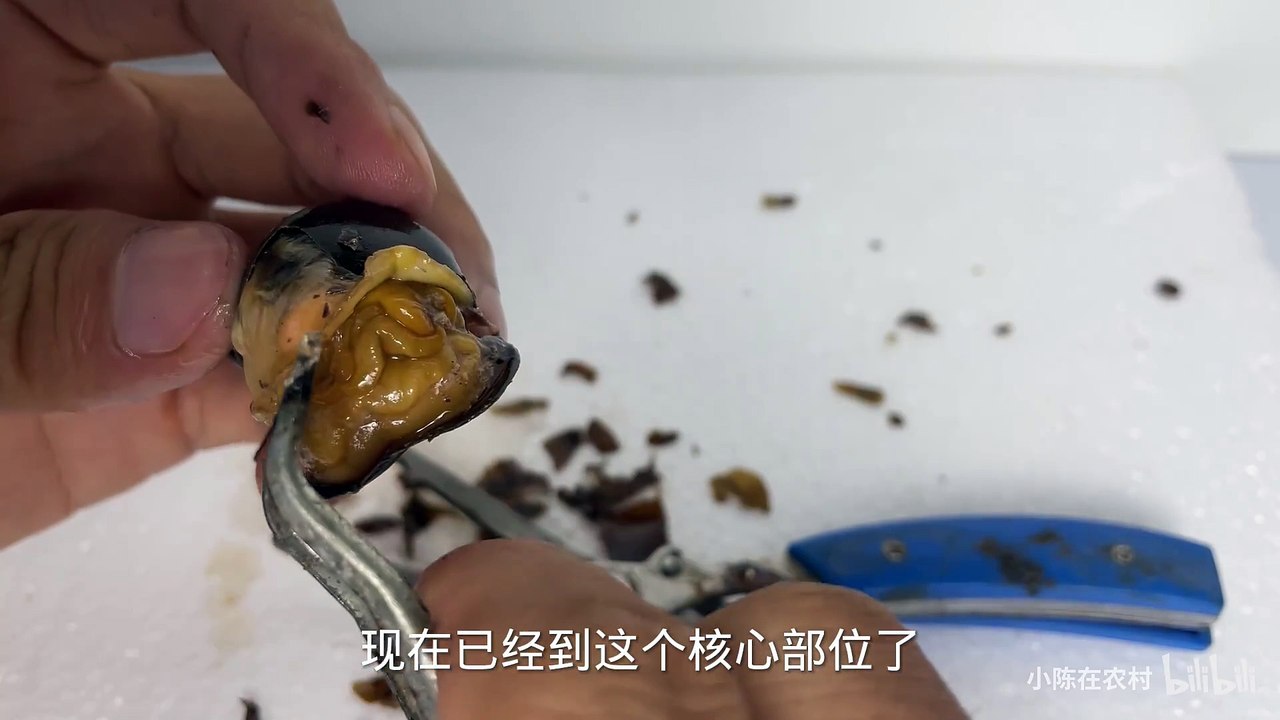 Will it die if you remove the shell of the snail? The results were ...