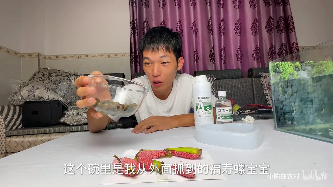 In a frenzy! It took 48 hours to make 1,000 snails into a work of art