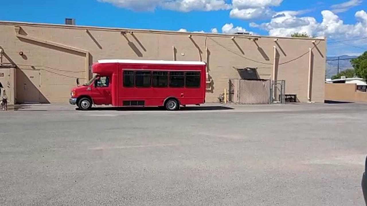 TRN big red bus loaded up & heading back to PACC shelter, taking 6 of our lovely doggies from TRN VID_20240825_150601451