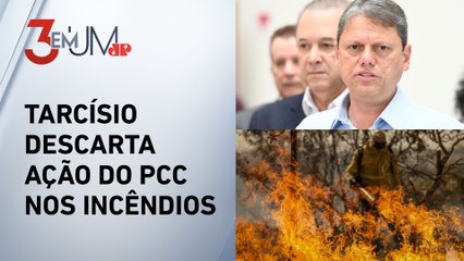 STF dá 15 dias para governo montar força-tarefa contra queimadas no país