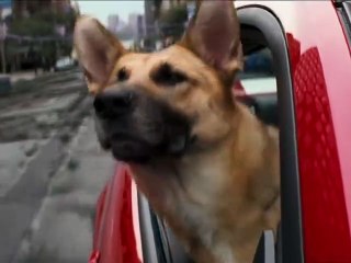 Top Movies to Watch 🎬