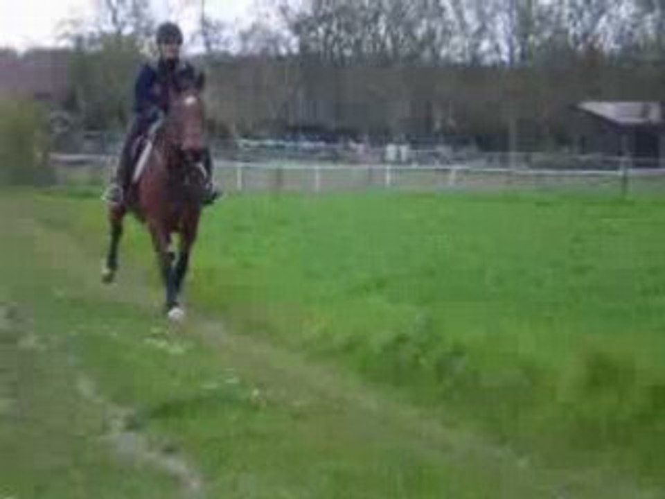 Moi sur Merk - 19.04.08 (53)