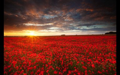 'Remembrance'- Britain Through The Darkness (Final Year University Project)