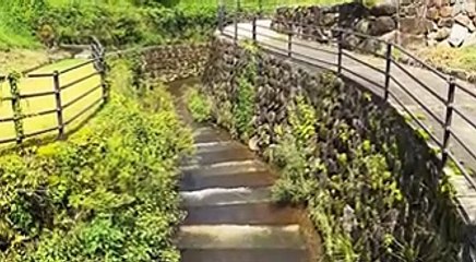 【KOROLL投資】趣味はダスポーツランキング