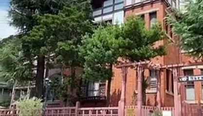 【KOROLL投資】制裁植栽ランキング