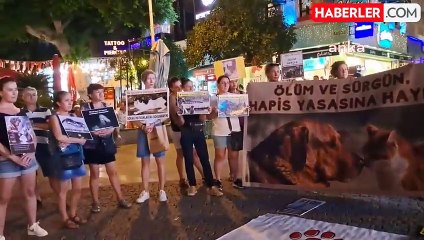 Antalya'da Hayvan Katliamlarını Protesto Eden Hayvanseverler