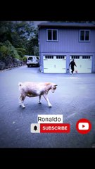 Everyday watching new videos. . .Have a fun enjoy