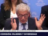 Cúneo Libarona dijo que rechaza la “diversidad de identidades sexuales” y provocó un escándalo en Diputados