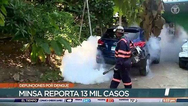 Aumentan a 28 las defunciones por dengue en Panamá