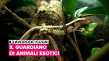 Il lavoro dei sogni: Il guardiano di animali esotici