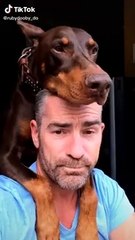 all breeds of dogs arue loving _____________1724813911555