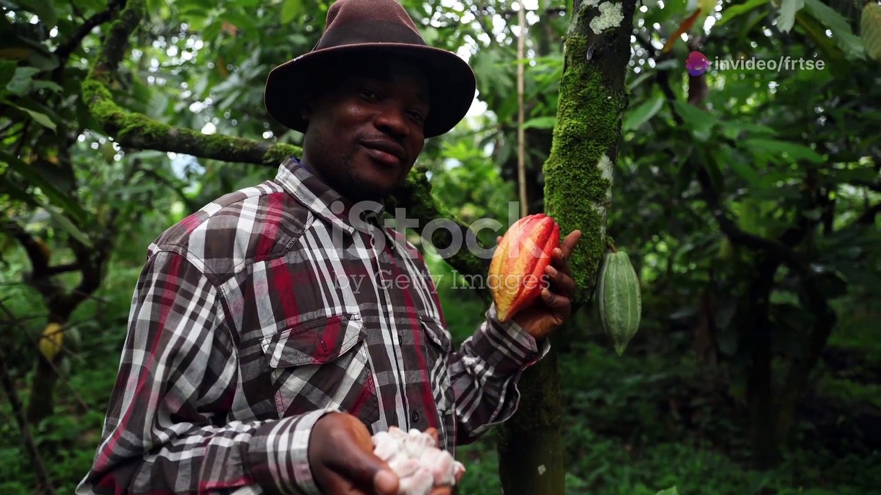 10 Fun Facts About Ivory Coast You Didn't Know!