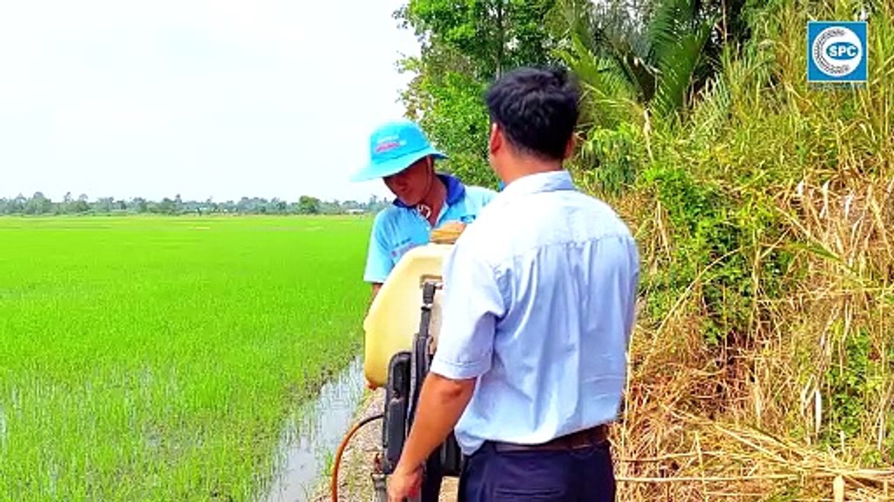 Cặp đôi Butoxim - Pataxim một lần phun đánh bay cỏ lúa