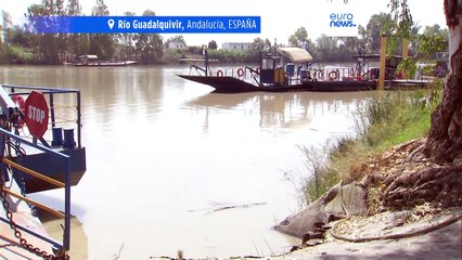 Preocupación en Europa por el virus del Nilo tras las dos muertes en Sevilla