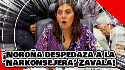 ¡VE! ¡el Dr. Noroña despedaza a la ‘Narkonsejera’ Zavala por intentar detener el aplastante Plan C!