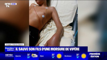 Un enfant de 10 ans se fait mordre par une vipère lors d'une randonnée en Ariège