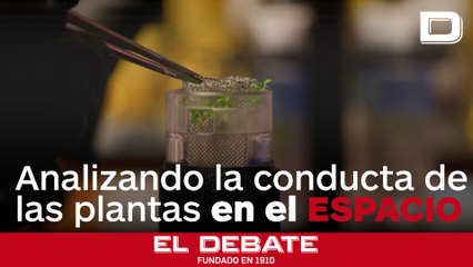 En un viaje al espacio, un científico de Florida estudiará la conducta de las plantas