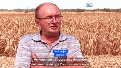 Sequía total: Los agricultores serbios piden ayuda al Gobierno mientras el calor extremo obliga a adelantar las cosechas