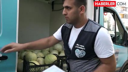 Tarlada kalan 300 ton kavun vatandaşa dağıtıldı